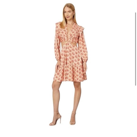 Joie Maeve Long Sleeve Floral Cut Out Mini Dress - Picture 6 of 8